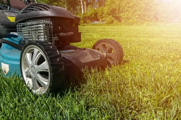 Can You Mow Wet Grass in Woodbridge, ON