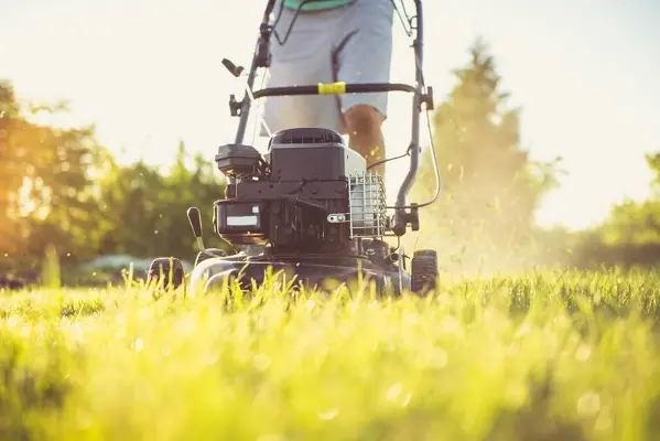 Can You Mow Wet Grass in Woodbridge, ON