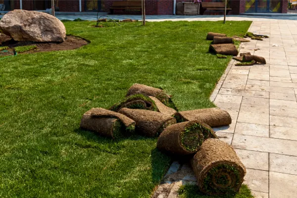 How long after installing sod can you walk on it in Woodbridge, ON