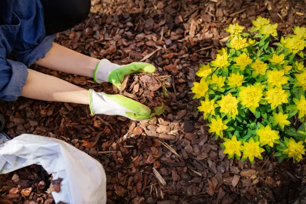 How long does mulch last  in Woodbridge, ON