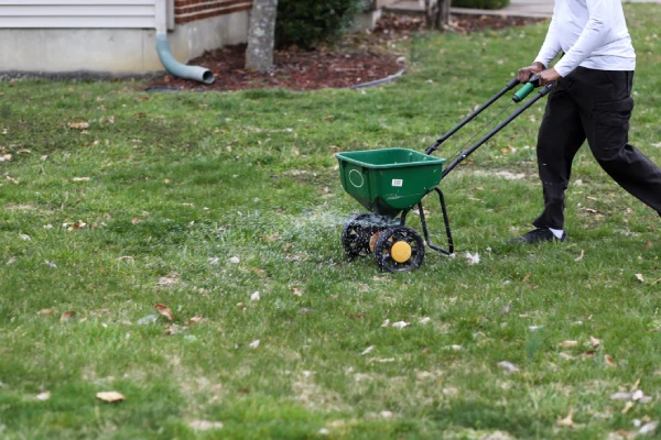 How often should you fertilize your lawn in Woodbridge, ON