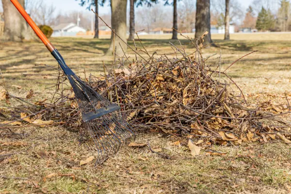 How to Clean a Backyard in Woodbridge, ON