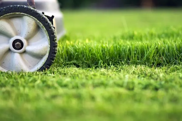 How to Mow a Lawn in Woodbridge, ON