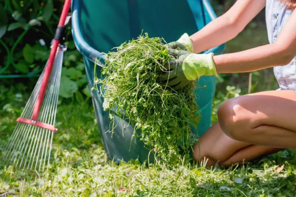 How to clear a yard full of weeds in Woodbridge, ON