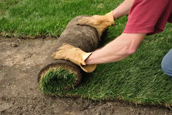 Sod Installation in Woodbridge, ON