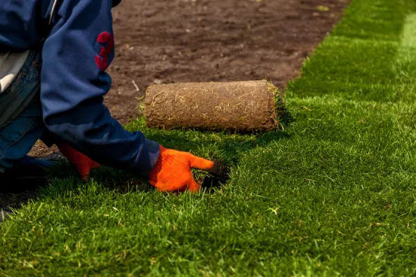 Sod Installation in Woodbridge, ON