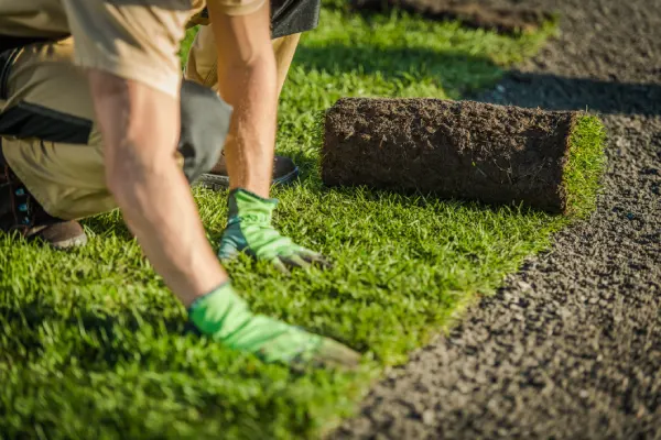 Sod Installation in Woodbridge, ON