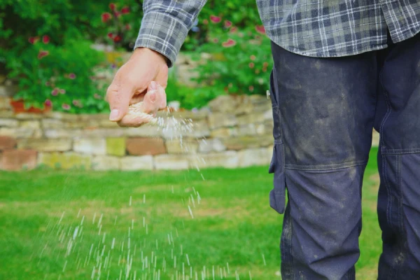 When is the best time to fertilize your lawn in Woodbridge, ON