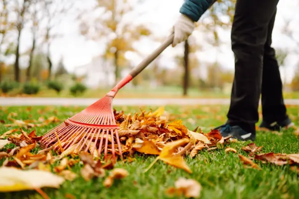 Yard Cleanup in Woodbridge, ON