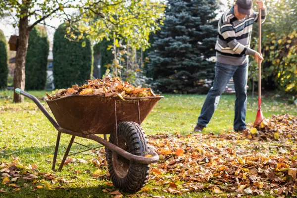 Yard Cleanup in Woodbridge, ON