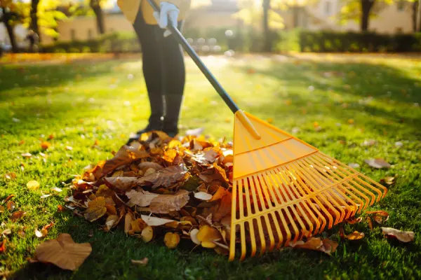 Yard Cleanup in Woodbridge, ON